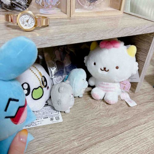 お久しぶりです。
最近新しい家族が増えました。
ぱわるぅちゃんと、ソーナノちゃんです☺️
こがゅもマフラーを取り、夏の装い？で楽しく毎日暮らしています。