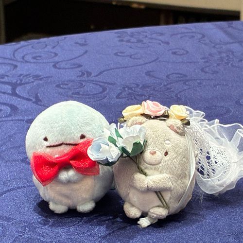 自身の結婚式でした。こがゅも参列してくれて嬉しかったよ💕
