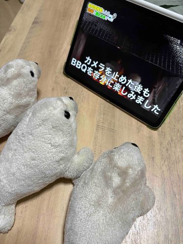 おねいちゃんたちとユチュブをみたよ！