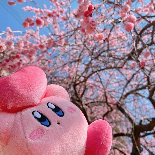 春ももうすぐ
お花見来週行くぽよ〜、楽しみぽよ