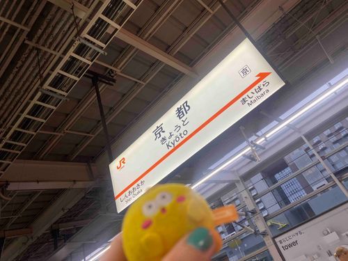 ここは任天堂のある所ぽよ〜
ずっと着てみたかったぽよね〜