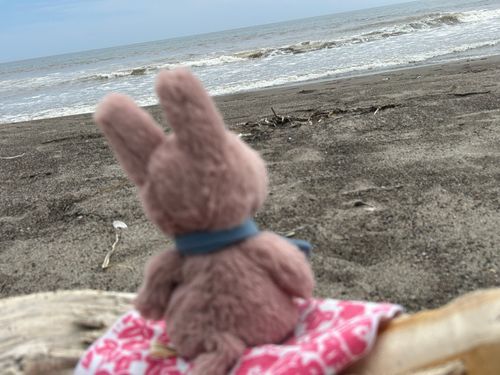 ちょっと遠出して来ました。
