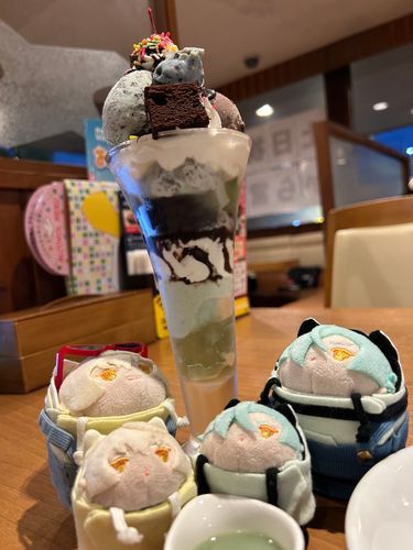 きょうは、ちょこみんとうのかつどうするために、ここすにきたのだ。しかし、はいきゅーとやらめあてのきゃくがたくさんいるのだ