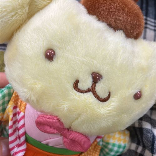 持ち主がお店でひとめぼれして買った店舗限定品のぽむ