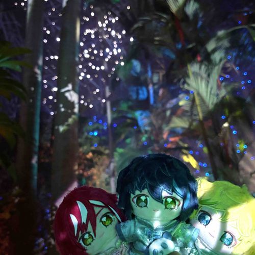 ESファン感謝祭「Garden of EDEN」
夢の島熱帯植物館に行ってきました🍎
ジャングルみたいで楽しかった🪴