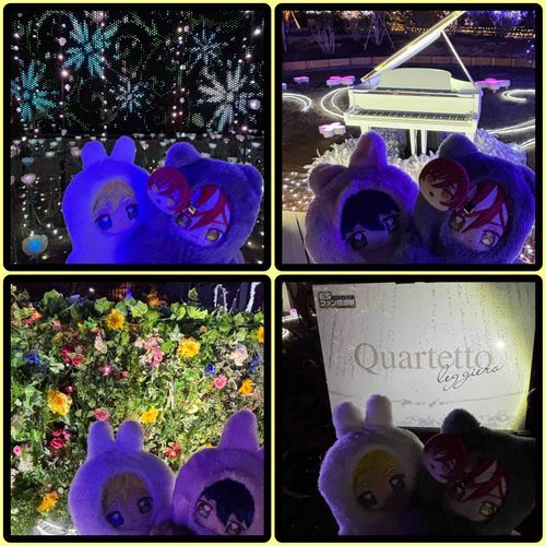 ESファン感謝祭🪽fineのコラボ先
あしかがフラワーパークに行ってきました💐
イルミネーションと一面に広がる花々が素敵でした✨
アレンジBGMも良かった☺️
