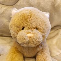 つやつやちゃん。