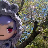 ぬいみさん