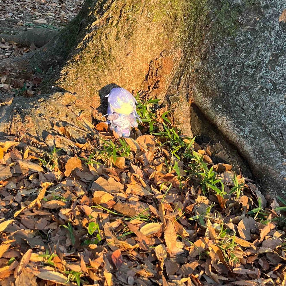 秋満喫🎃🍁🍄🌰