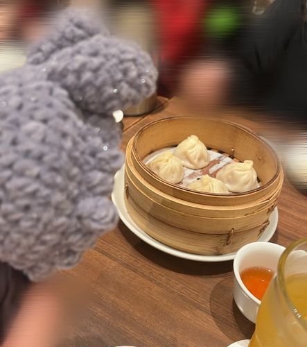 狙われている🥟