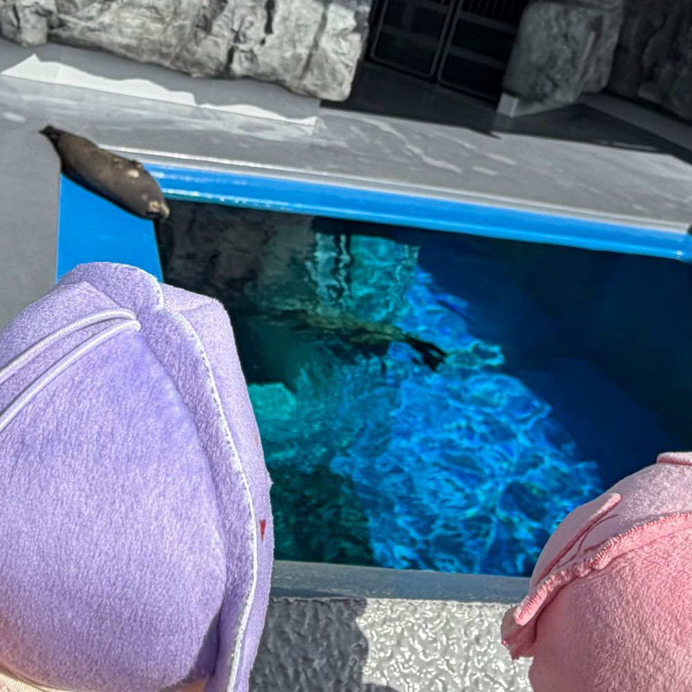 寝てたね🦭