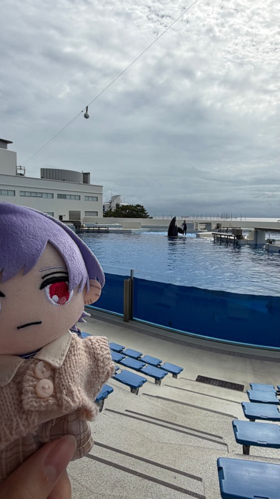 雪見さんと同じ色のシャチ🫍💜