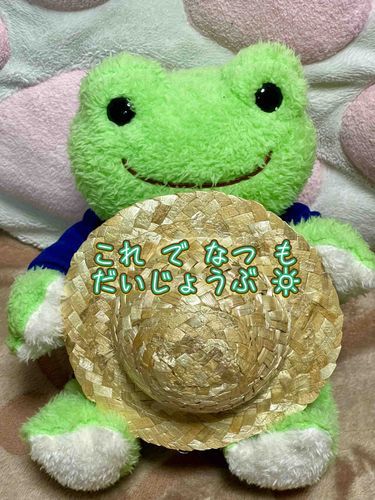 むぎわらぼうし を て に いれた☆
