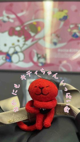 みんな しゃしん とってた ☺︎