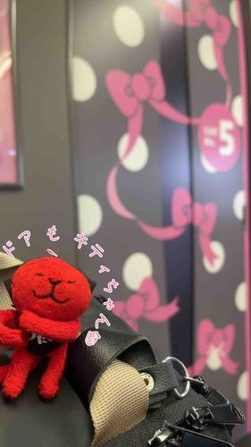あちこち キティちゃん いた よ♪