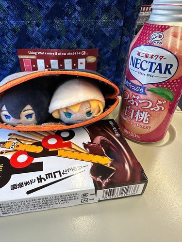 あるじがじっかにかえるおともしたゃ