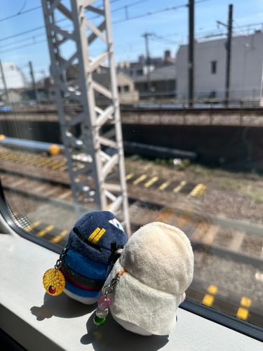 きょうもあるじのおともでおでかけゃ。じっかにおきっぱなしのくるまのてんけんていってたゃ。