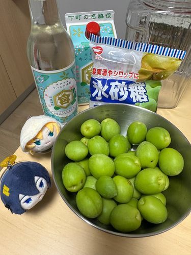 あるじのじっかからにわのうめがとどいたゃ。うめしゅをつけるゃ。