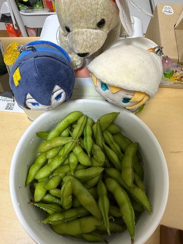 あるじがえだまめをゆでたゃ。しおかげんがむずかしゃ。