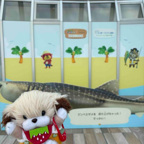 お魚さんたくさんみてきたよ🐠🫧‪
