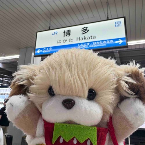 はかた また行きたいなあ…(⑅˘͈ ᵕ ˘͈ )