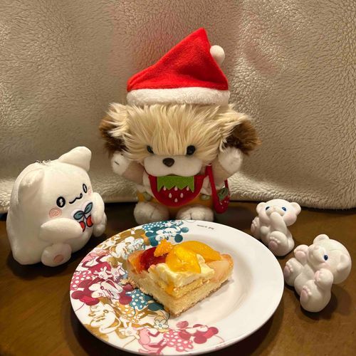 ✧*｡🎄𝐌𝐞𝐫𝐫𝐲𝐂𝐡𝐫𝐢𝐬𝐭𝐦𝐚𝐬🎄✧*｡
お友だちといっしょに食べたよ➰😋