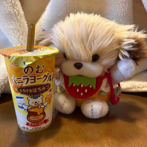 あけましておめでとうございます✨️
今日は、おかいものに行ってきたよ！おいしいジュース買ってもらったよ🤤🤍