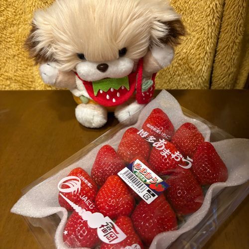 ダイスキないちご🍓❣️
甘くておいしかった〜🍓✨💕