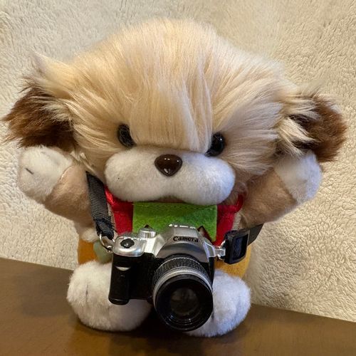 カメラ買ってもらったの〜📷✨