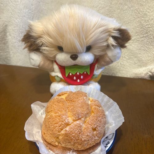 おいしいシュークリーム食べたよ😋
