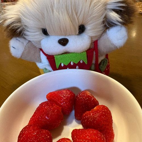 ちょっと前にたべたイチゴ🍓⸝⸝꙳