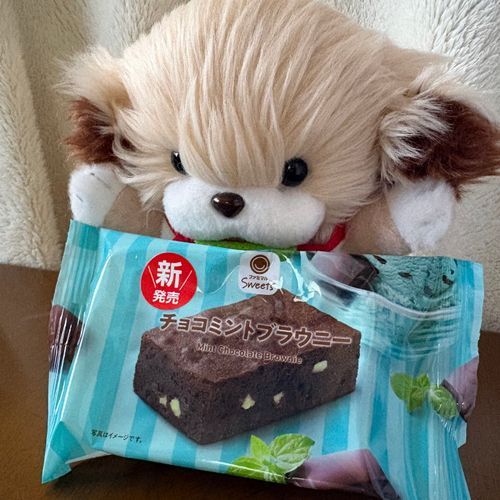 8がつにたべて載せわすれてたブラウニー🤭🍫🌿