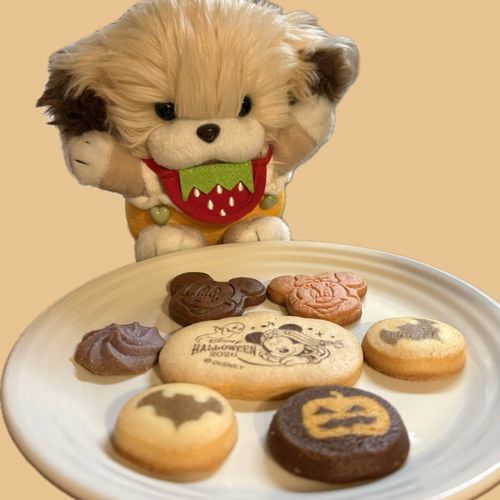 ディズニーのお土産❕🍪⸒⸒