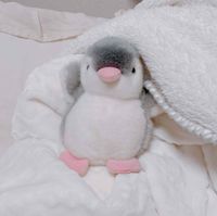 ‧˚₊*̥ ぺ　ん ‧˚₊*̥