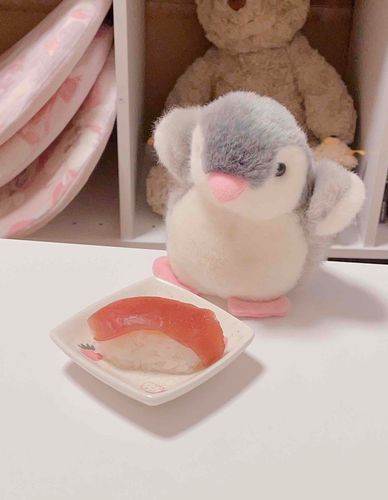 おすしっていうんだって
ぺん これうえだけでもいい…？