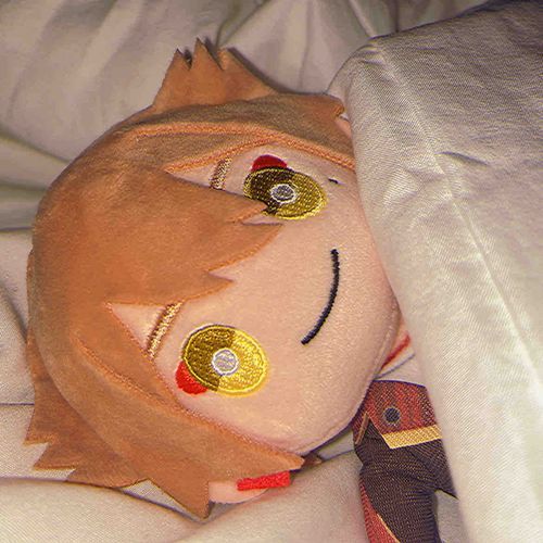 (  ³ω³  )zZZ