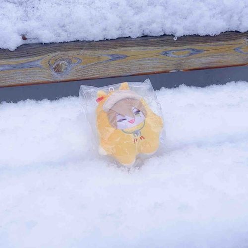 ❅ (*´︶`*)