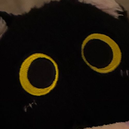 ビニール袋の中から来た
ニールです🐈‍⬛^(=◉  ◉=)^