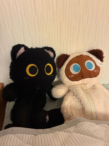 こちらは💁仲良しのガールです。
私はクロネコ🐈‍⬛、
こちらはシャムネコ🐈