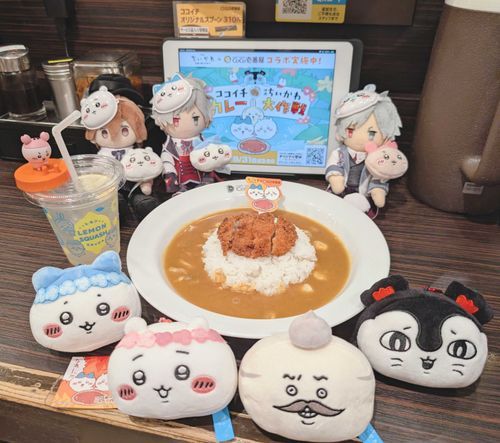 今日もカレーを食った。
今回は島カレーらしい