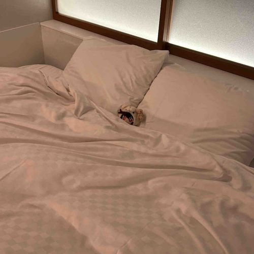 🧸💭
ちょっとはやいけど、ねむいからねる。
ふかふかベッドでおやすみ〜。