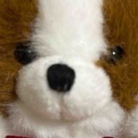 ちゅうちゃん