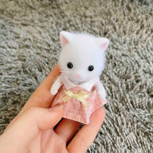 ひとめぼれしてお迎えしちゃった、いっしょにいろんなとこ行こうね