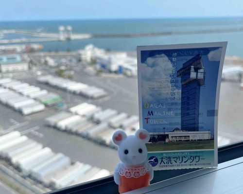 大洗ってとこにいったよ
ちじょう60mたか〜い