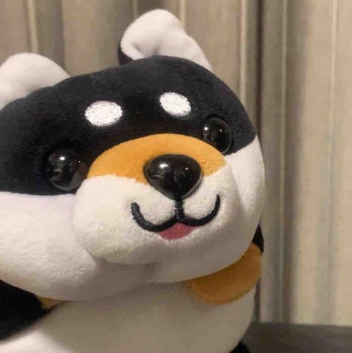 まめしば
○1さい
○8月10日生まれ

よろしくだぽん！
