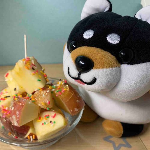 飼い主さんに作ってもらったぽん！！