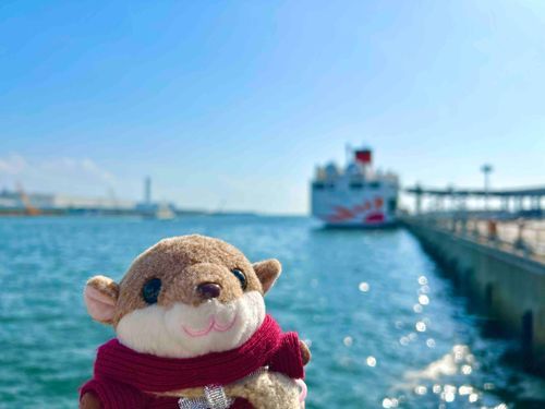 はじめて、海辺に、あそびにいった、よ！！. 𖦹˙~
たいようのひかり、が、きらきらで、すてきだったなあ‪ෆ‪.*･ﾟ