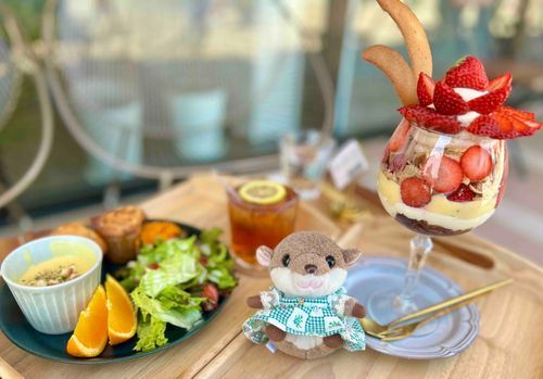 めちゃ、でか、ぱふぇ！！！ෆ˚*

みんな、ひさしぶり♪♪
（主）が、また体調、くずしちゃたけど、だいふっかつ！したよ✩.*˚

だから、いっしょに、ぱふぇ！たべたんだ〜‪ꔛ‬‪♡