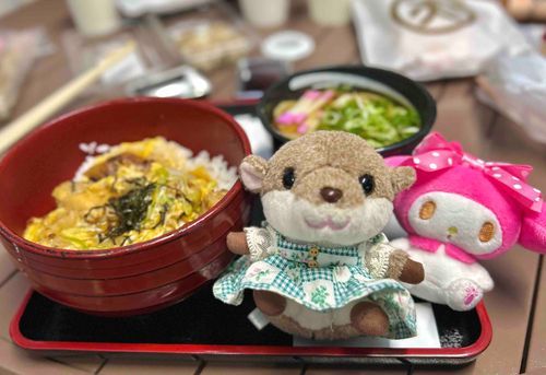 （主）と、そのかぞく、と！
しずおかに、いてきたよ！♩♡
おともだちの、メロディちゃんも❤︎
おやこどん！！すごく、おいしかったんだ~ෆ˚*