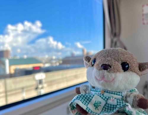 電車、のりすごして、和歌山まで、きちゃってた(>ㅿ<;;)
（主）と、海、いったんだ︎︎︎︎❤︎
（主）の、おとももち、と、線香花火、したよ.*･ﾟ